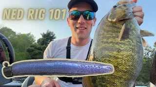 Ned Rig 101 | Catch More Fish!