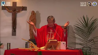 10:15 AM Holy Mass with Fr Jerry Orbos SVD  - March 28 2021 Palm Sunday of the Lord's  Passion