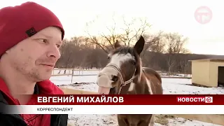 Произошел еще один конфликт в округе между людьми и крупными хищниками