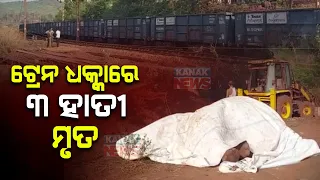 Three Elephants Killed Goods Train Hits Them In Odisha's Keonjhar