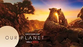 Our Planet - Trailer | Netflix | Dolby Atmos + Dolby Vision