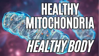 7 Ways To Boost Mitochondrial Health To Fight Disease