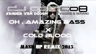 Sander Van Doorn X Voodoo & Serano - Oh , Amazing Bass & Cold Blood (Dj Astic08 Remix)