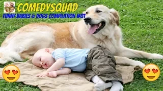 Funny Dogs Protecting Babies-Funny Babies & Dogs Compilation #81