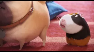 Sky Broadband - The Secret Life Of Pets Switch Squad