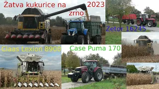Žatva kukurice na zrno 2023 / Claas Lexion 8900 / New Holland CX8080 / Case Puma 170 / Zetor 16245