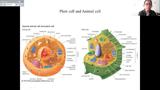 Cell structure & Organization 03