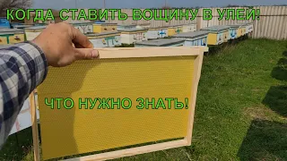 Когда и как ставить вощину в пчелиный улей весной и что нужно знать✅☝️🐝