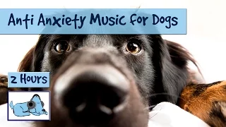 Anti Anxiety Music for Dogs - Cure Separation Anxiety with Dog Music!