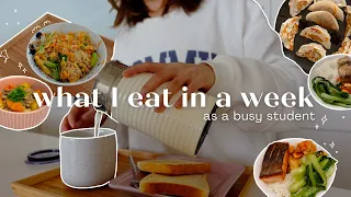 ✨ What I cook & eat in a week as a busy uni student | asian recipes