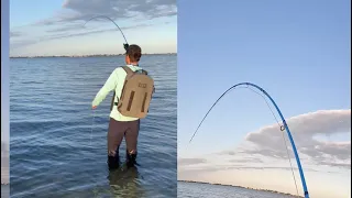 Poor man’s tarpon; The lady fish on the fly