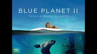 Hans Zimmer and Radiohead - Ocean Bloom Blue Planet II (✨ 𝓢𝓵𝓸𝔀𝓮𝓭 + 𝓡𝓮𝓿𝓮𝓻𝓫𝓮𝓭 ✨ )