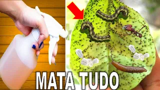 MATA Pulgão, Cochonilha, Formigas, Lagarta, Mosca Branca (Receita Rápida Sem Gastar)