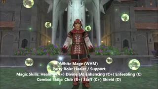 Final Fantasy XI: White Mage Guide