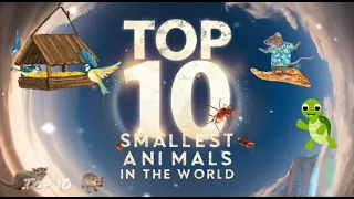 Top 10 Smallest Animals in the World💖II #smallestanimals #trending #small #animallover