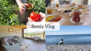 Sessiz Vlog | Yazlık Ev Turu🏡 | Bahçeden sofraya | Kahvaltı | Deniz Keyfi 🏖️