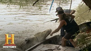 Swamp People: Dusty's Final Alligator Battle (Season 10) | History
