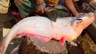 Amazing King Size!! Giant Pangas Fish Cutting Live In Fish Market | Fish Cutting Skills