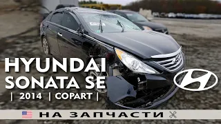 Авто из США | HYUNDAI SONATA SE 2.4L (2014) | Аукцион Copart