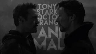 'tony 'stark x 'doctor 'strange | ANIMAL