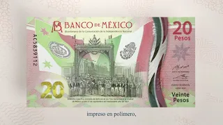 Billete de 20 pesos de la familia G, Bicentenario Independencia - elementos de seguridad