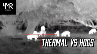 Thermal Hog Eradication | ATN ThOR 4