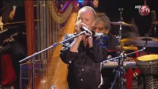 Sting - Fields of Gold (HD) Live in Viña del mar 2011