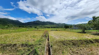 Bargain Farm for Sale in Jala Jala Rizal