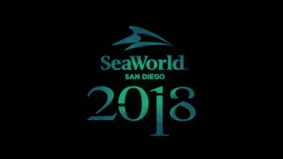 Electric Eel SeaWorld San Diego