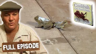 It's The Coolibah Cane Toad Classic! 🐸 | Keeping Up With The Joneses S01E15 | Full Episode | Untamed