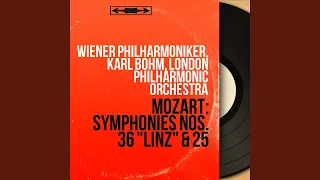 Symphonie No. 25 in G Minor, K. 183: III. Menuetto - Trio