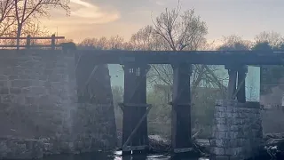 Mama Bear Rescues Cub from River