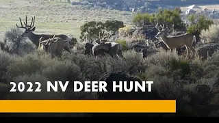 NEVADA DEER HUNT