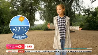 Яка погода буде в Україні на святкові серпневі вихідні — Погода від Фросі