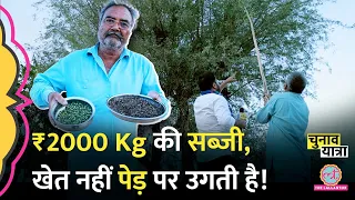 भारत की सबसे महंगी सब्जी खाई है? Rajasthan के गांव में लोग क्या अजीब चीज़ें खाते हैं? Election 2024