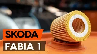 Как заменить моторное масло и масляный фильтр на SKODA FABIA 1 (6Y5) [ВИДЕОУРОК AUTODOC]