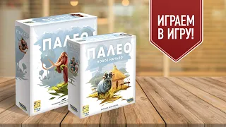 ПАЛЕО: НОВОЕ НАЧАЛО | Играем в настольную игру о выживании древних племён с дополнением