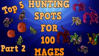 Tibia [where to hunt ED/MS] - MY TOP 5 PLACES FOR MAGES 100+ [PART2](DOUBLE EXP) [2020]