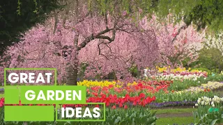 Tulip Top Garden | GARDEN | Great Home Ideas