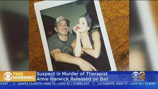 Man Arrested In Murder Of Hollywood Therapist Bails Out