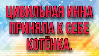 ЦИВИЛЬНАЯ ИННА ПРИНЯЛА К СЕБЕ КОШКУ. ДНЕВНИК БОМЖА.