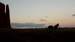 Native Flute and Wild Horses