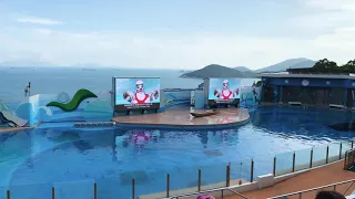4K #香港海洋公園 海洋劇場 海豚海獅表演 海洋奇遇2020 Hong Kong Ocean Park Ocean wonders dolphin sea lion show