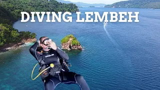 Scuba Diving LEMBEH STRAIT - world class MUCK DIVING with weird looking SEA CRITTERS