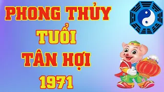 Phong Thủy Tuổi Tân Hợi 1971