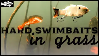 Hard SWIMBAIT TRICKS for Bass Fishing around Grass (BULL SHAD)