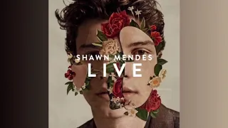 Shawn Mendes - In My Blood (LIVE IN LA)