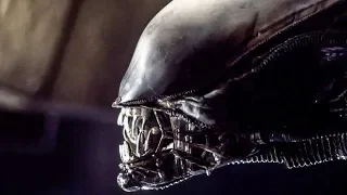 25 Things You Didn't Know About Alien