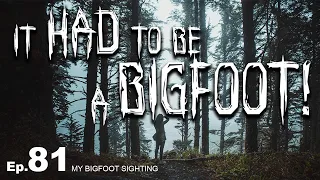 It Had to be a Bigfoot! - My Bigfoot Sighting Episode 81