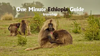 One Minute Ethiopia Guide | Travelxp